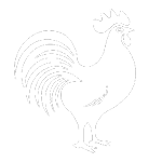 cock